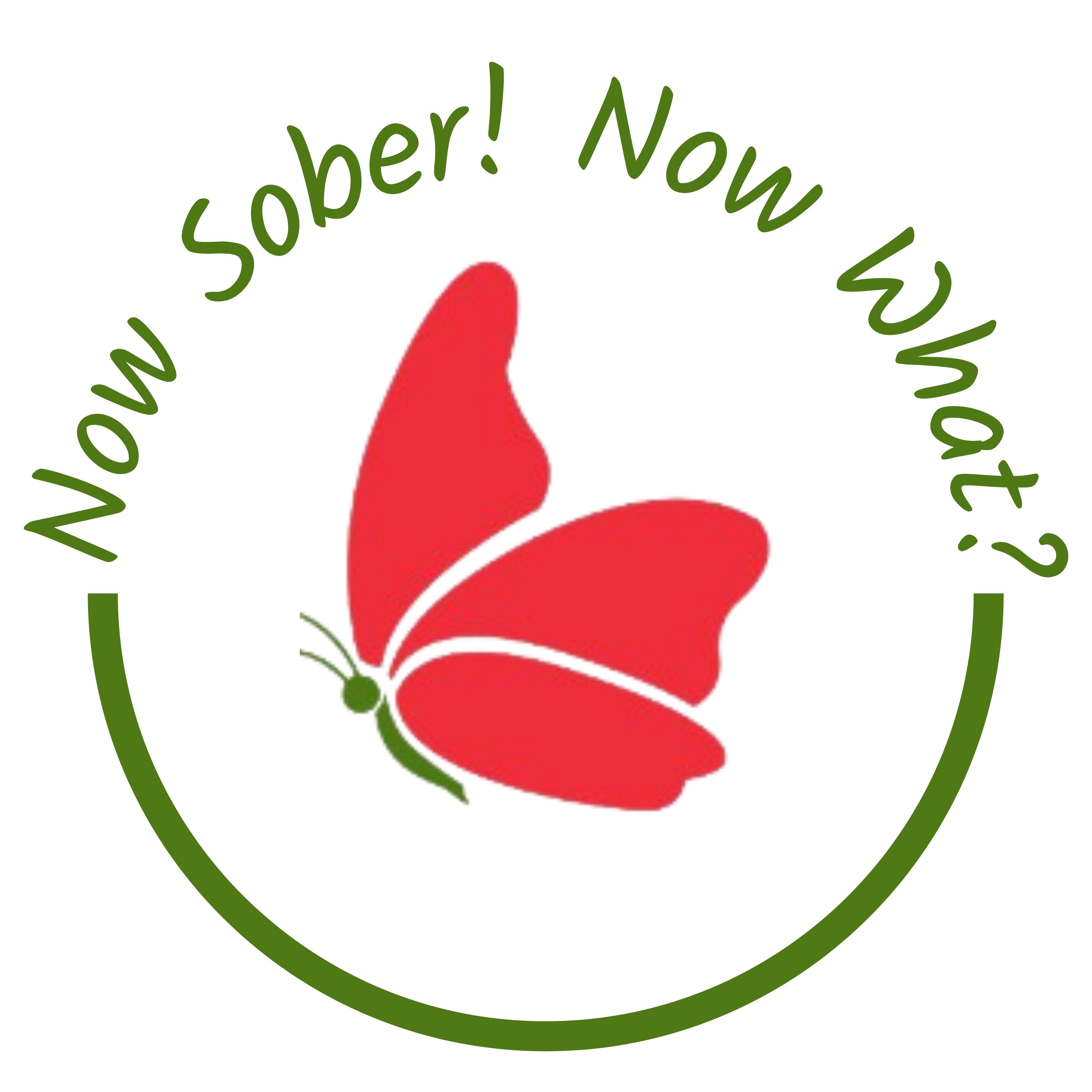 Now Sober Academy logo
